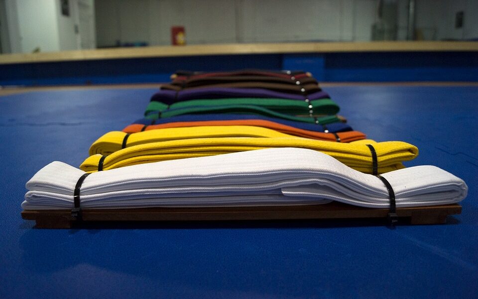 Ceintures de couleur au Judo